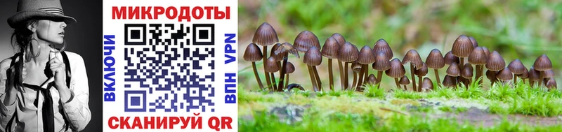 Купить где  Палласовка  Галлюциногенные грибы Cubensis 